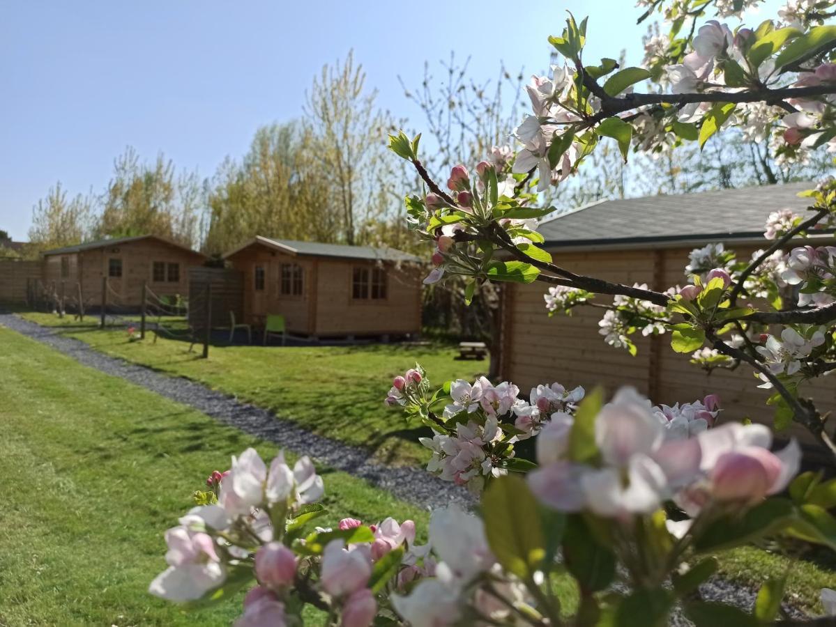 Gite Les Chalets Du Fliers Verton Meubles De Tourisme Classes 2 Etoiles Berck Exterior photo